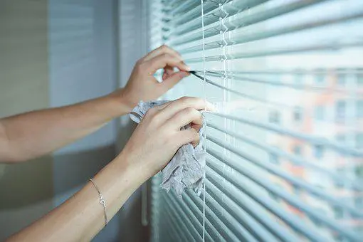 Blind-Cleaning--Blind-Cleaning-4432728-image