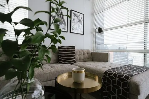 Upholstery-Cleaning--Upholstery-Cleaning-4443042-image