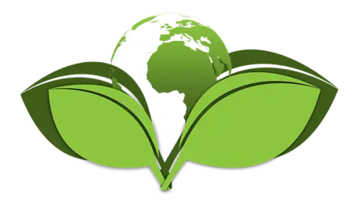 Green-Cleaning--in-Albuquerque-New-Mexico-green-cleaning-albuquerque-new-mexico.jpg-image