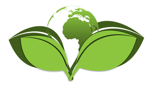 Green-Cleaning--in-Gilbert-Arizona-green-cleaning-gilbert-arizona.jpg-image